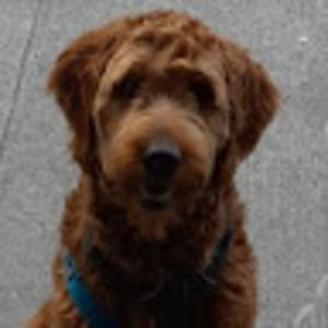 Meet your Posher, Traci